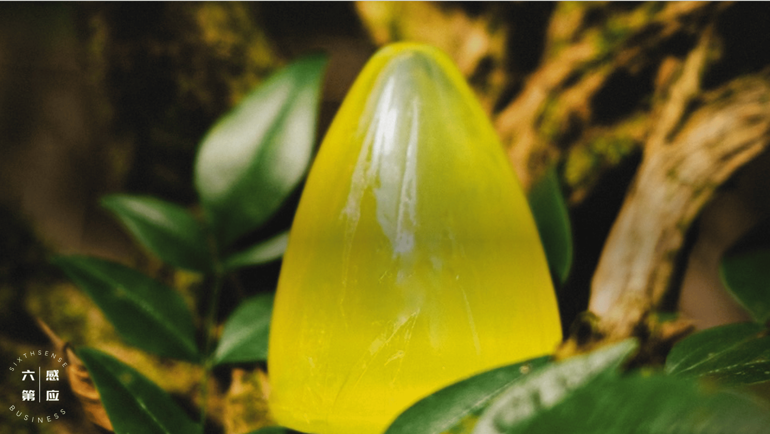 Natural Relaxation Techniques with Soap that Brings Positive Energy